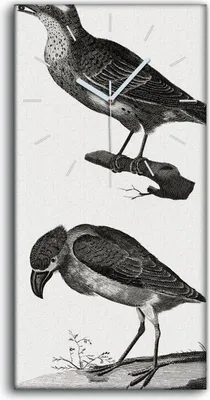 Produktbild von Dekor Leinwand Uhr Wandbilder 30x60 Zeichnen von Tieren Vögel Zweig Kunst - weiße Hände