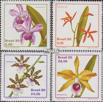 Produktbild von Briefmarken Brasilien 1980 Mi 1785-1788 (kompl.Ausg.) postfrisch Briefmarkenausstellung