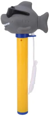 Poolthermometer, Hauptbild