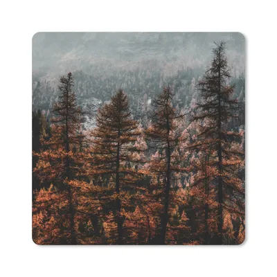 Produktbild von MuchoWow® Mauspad Mousepad Bäume - Nebel - Winter 20x20 cm - Mousepads - Maus Mat - Pad - Mausunterlage - Desk Mat - Bureauartikeln