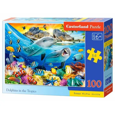 Produktbild von CASTORLAND Puzzle Delphine in den Tropen 100 Teile