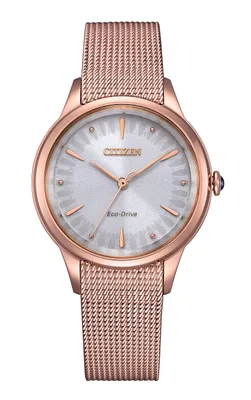 Produktbild von Citizen Damenuhr EcoDrive rosevergoldet EM1153-88A
