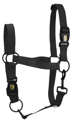 Produktbild von Excellent Horse Essential Halfter schwarz, Größe: XS