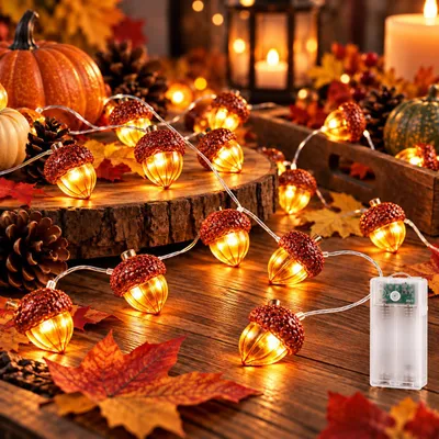 Eikel-Lichterkette 3m, 20 LEDs, Batterie, Timer, warmweiß