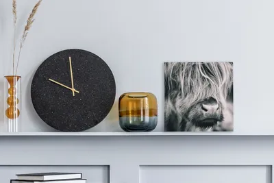 Obrázek produktu pro OneMillionCanvasses® - Plátno - Skotský horal - Kráva - Černá - Bílá, nástěnná malba, nástěnné dekorace obrazy obývací pokoj, 20x20cm