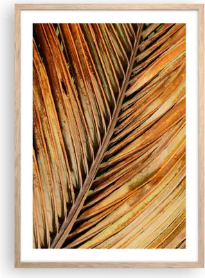 Produktbild von Gerahmtes Poster - Rahmen in heller Eiche - Orange Blatt Tropisch - 50x70 cm - Wand Bild - Wanddeko - Wandbilder - Kunstposter - Wandposter - Bilderrahmen - Bilder - Kunstdruck - P2NPA50x70-4876