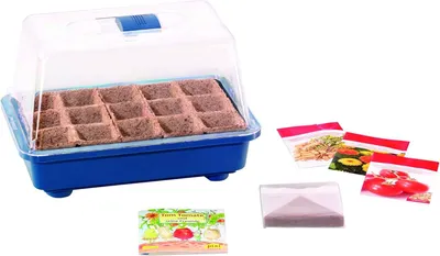 Produktbild von [STREICHUNG 2026] Kinder-Gewächshaus Tom Tomate | Zimmergewächshaus von Romberg, Farbe:berry