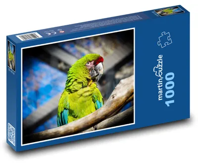 Obrázek produktu pro Puzzle 1000 Papoušek na větvi - martinpuzzle