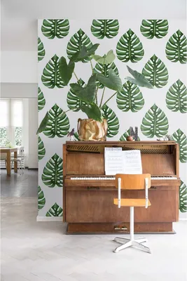 Produktbild von Coloray Fototapete 208x146 cm Latextapete Magicstick - Monstera