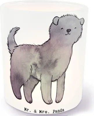 Produktbild von Mr. & Mrs. Panda Glas Windlicht Affenpincher Lebensretter - Transparent - Geschenk, Teelichthalter, Kerzenglas, aus, Kerzenhalter, Outdoor
