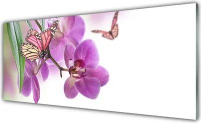 Produktbild von Acrylglasbilder 125x50 Wandbild Druck Schmetterlinge Blumen Natur
