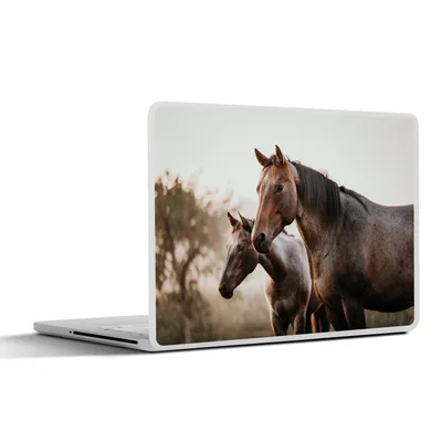 Produktbild von MuchoWow® Laptop Aufkleber Sticker Cover Pferde - Natur - Braun 30x21 cm - Sticker für Laptop - Selbstklebend