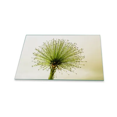 Produktbild von Herdabdeckplatte Glaskeramik 1 Teilig 80x52 Pflanzen Grün Abdeckung Glas Spritzschutz