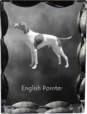 Produktbild von Art-Dog Bilderrahmen English Pointer