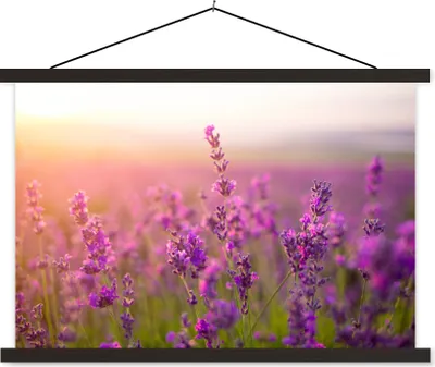 Produktbild von MuchoWow® Textilposter Lavendel - Frühling - Lila 150x100 cm mit schwarzem Rahmen - Schlafzimmer