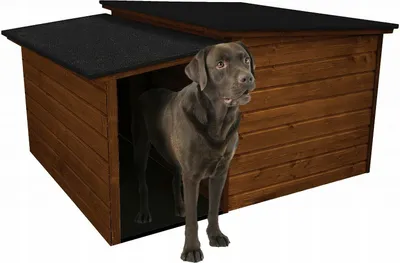 Produktbild von Hundehütte Kiefer Outdoor Hundehaus Hundehöhle Hund Wetterfest Winterhaus Katze Hund Katzenhaus XL; Teak