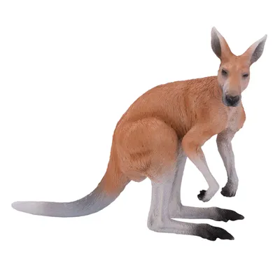 Obrázok produktu pre Mojo Fun Kangaroo, 3 rok / roky, Wildlife, Hnedá, Biela, Polyvinylchlorid (PVC)