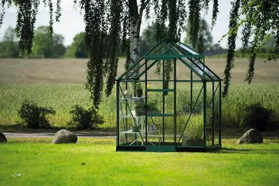 Produktbild von Gewächshaus Halls Icon 6 2,5 m² Sicherheitsglas 3 mm 192,5 x 130,3 cm grün