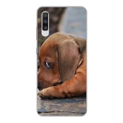 Produktbild von MuchoWow® Handyhülle Schutzhülle Hülle für Samsung Galaxy A70 Dackelwelpe liegt am Rande des Bürgersteigs Silikon Softcase Handy Hülle - Schutzhaube