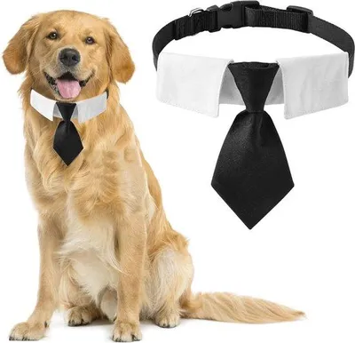 Produktbild von Famanu Hundestropdas Schwarz - Verstellbare Baumwollhalsband für mittelgroße und große Hunde