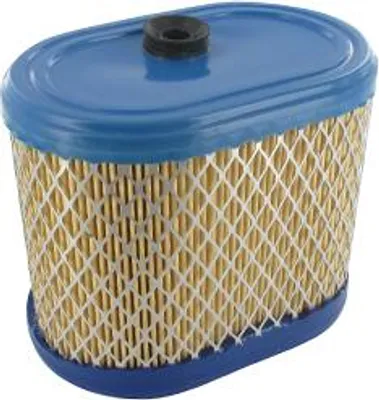 Immagine prodotto di Filtro aria per Briggs & Stratton. Ricambio per 695302