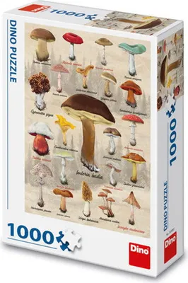 Image de Collage de dinosaures et de champignons
