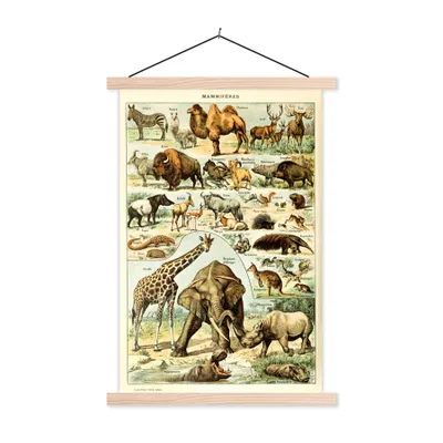 Produktbild von MuchoWow® Textilposter Tiere - Kamel - Giraffe - Jahrgang - Adolphe Millot 60x90 cm mit holzfarbenen Rahmen - Textil