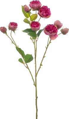 Produktbild von Mini-Rosenstrauß Beauty 65 cm Kunstblume Emerald