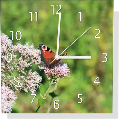 Produktbild von Wallario Design Wanduhr Schmetterling auf Blüte aus Echtglas, Größe 30 x 30 cm