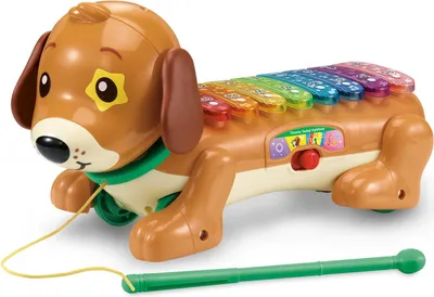 Zdjęcie produktu dla VTech Timmie Teckel Xylofoon, 1,5 lat(a), AA, 560 g, Wielobarwny