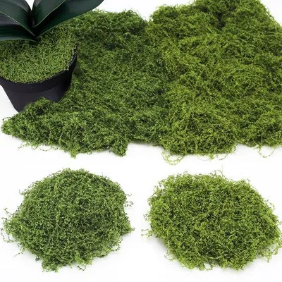Produktbild von Kunstmoos Dekoration 200g dunkel/grün für Aquarium DIY