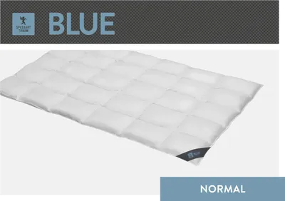Produktbild von Spessarttraum Daunendecke Blue Füllung: 60%  Daunen/ 40% Federn Bezug: 100% Baumwolle  Größe 135 x 200  cm Wärmeklasse normal