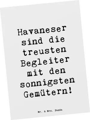 Produktbild von Mr. & Mrs. Panda Postkarte Spruch Havaneser Begleiter - Weiß - Geschenk, Ansichtskarte, freundlich, Hunderassen Vielfalt, Ansichtskarten, fröhlich, Grußkarte, Fotokarte