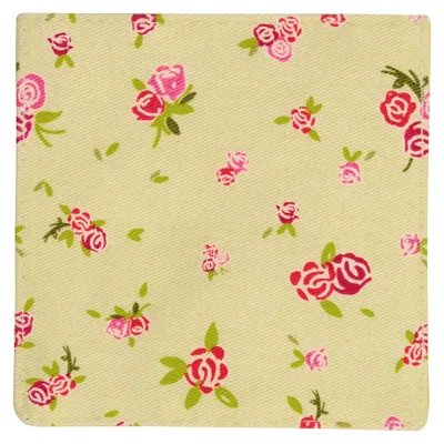 Productafbeelding van Premier Brands of America 5100119