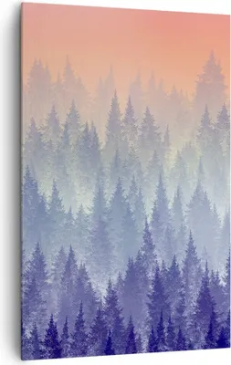 Produktbild von Bild auf Leinwand - Leinwandbild - Einteilig - Wald Baum Natur - 80x120cm - Wand Bild - Wanddeko - Wandbilder - Leinwanddruck - Kunstdruck - Wanddekoration - Leinwand bilder - Wandbild - PA80x120-3929