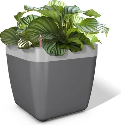 Produktbild von Emsa myBOX Blumenkasten Blumenkübel 35 cm anhrazit/alu