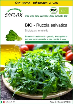 Immagine prodotto di SAFLAX Insieme di coltivazione -- Rucola selvatica - 1500 semi - Diplotaxis