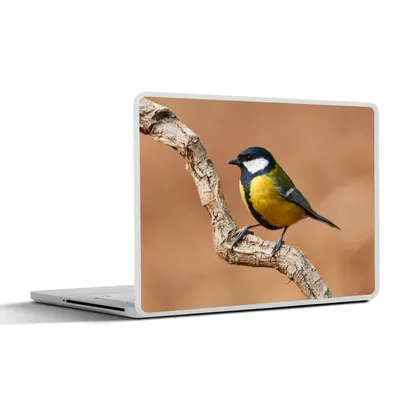 Produktbild von MuchoWow® Laptop Aufkleber Sticker Cover Vogel - Kohlmeise - Zweige 30x22 cm - Laptop-Sticker