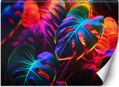 Produktbild von Vlies fototapete Monstera-Blätter in Neonfarben 250x175 cm Feeby Bunt inkl. Kleber einfache Montage