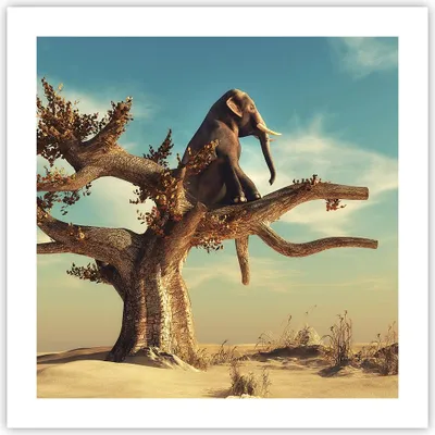 Produktbild von Poster - Poster ohne Rahmen - Sitzen Elefant Baum - 50x50 cm - Wand Bild - Wanddeko - Wandbilder - Kunstposter - Wandposter - Bilder - Kunstdruck - Wanddekoration - Wandbild - P2XAC50x50-4345