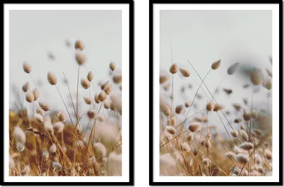 Immagine prodotto di BILDPOSTER IN QUADRO 53x73cm dittico di 2 quadri erbe boho P2160