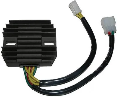 Image de Contrôleur de charge ElectroSport ESR 250