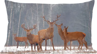 Produktbild von MuchoWow® Zierkissen Sofakissen Wohnzimmer Dekokissen 50x30 cm Hirsche - Wald - Winter - Wohnzimmerdekoration - Polster mit Photo