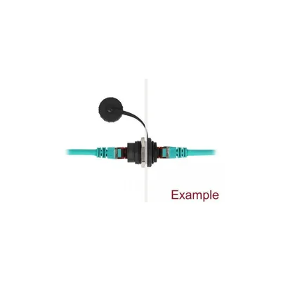 Obrázek produktu pro DELOCK RJ45 Cat.6A Einbaubuchse mit Staubschutzkappe