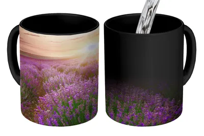 Obrázok produktu pre MuchoWow® Magický pohár Levanduľa - Slnko - Kvety 350 ml Pohár na zmenu farby Darček Nápad na darček - Foto hrnček