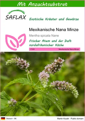 Produktbild von SAFLAX - Kräuter - Mexikanische Nana Minze - 500 Samen - Mit keimfreiem Anzuchtsubstrat - Mentha spicata