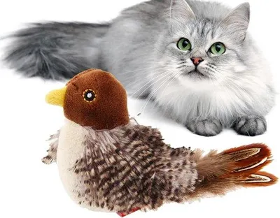 Produktbild von Interaktives Katzenspielzeug mit Federn und Pieptönen für Hauskatzen