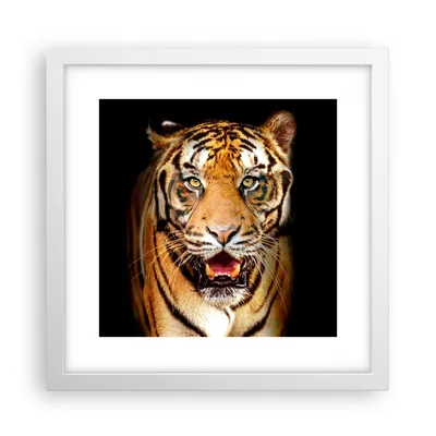 Produktbild von Gerahmtes Poster - Weißer Rahmen - tiger tier - 30x30 cm - Wand Bild - Wanddeko - Wandbilder - Kunstposter - Wandposter - Bilderrahmen - Bilder - Kunstdruck - Wandbild - P2WAC30x30-4103