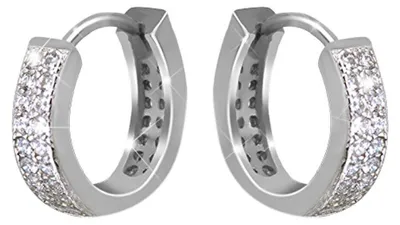 Produktbild von Silver earrings with zircons AGUC1557