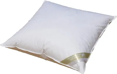 Produktbild von Silecomplaza Hofmann Franken kuschelweiches Daunenkissen Kopfkissen 80x80 cm 550g 100% Daunen